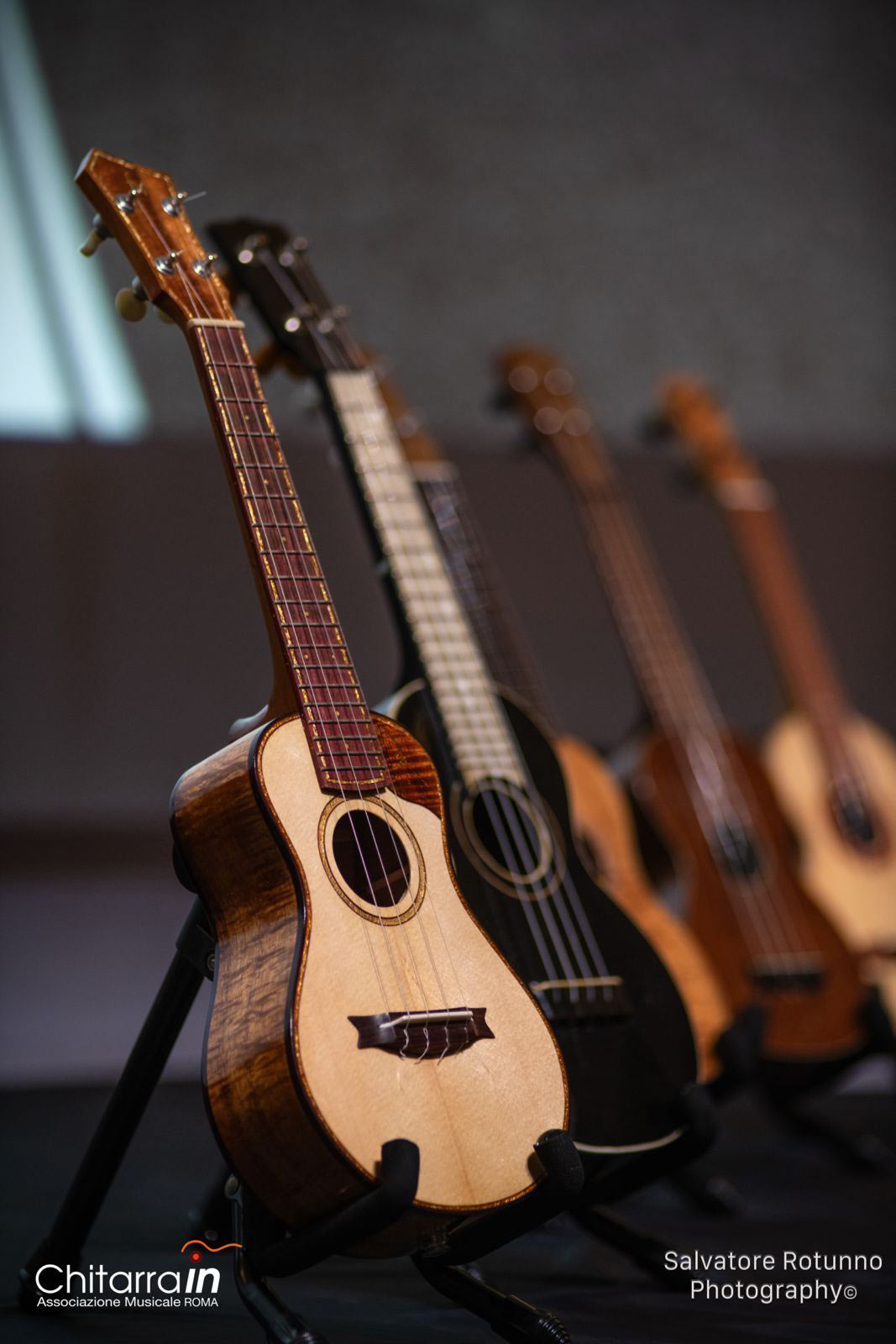 Verginelli_Ukulele_baritone_Albini