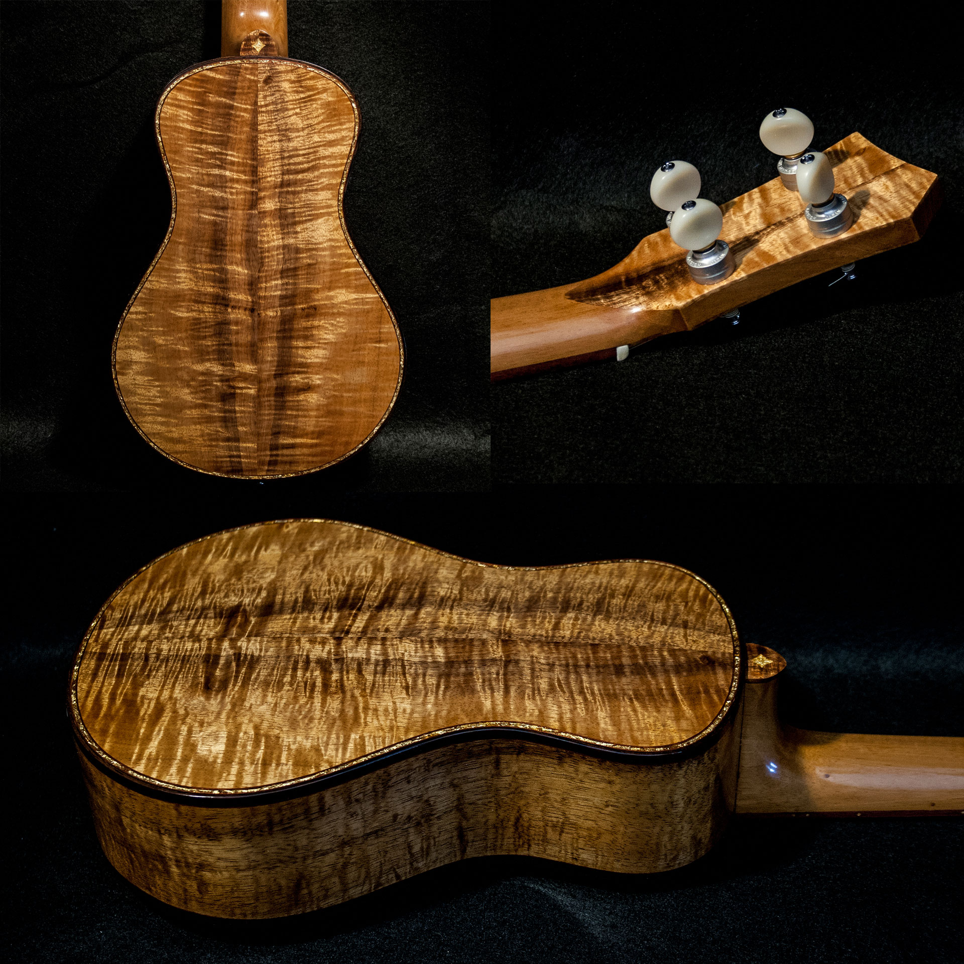 Luxury Gold Albini concert